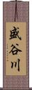 盛谷川 Scroll