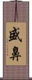 盛鼻 Scroll
