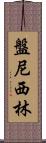 盤尼西林 Scroll