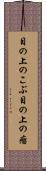 目の上のこぶ Scroll