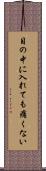 目の中に入れても痛くない Scroll