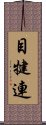 目犍連 Scroll