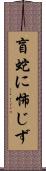 盲蛇に怖じず Scroll