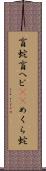 盲蛇 Scroll