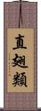 直翅類 Scroll