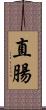 直腸 Scroll