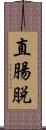 直腸脱 Scroll