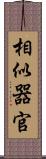 相似器官 Scroll
