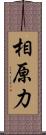 相原力 Scroll