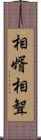 相婿 Scroll