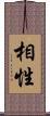 相性 Scroll