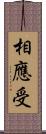 相應受 Scroll