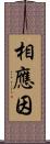 相應因 Scroll