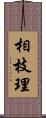 相枝理 Scroll