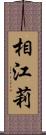 相江莉 Scroll