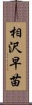 相沢早苗 Scroll