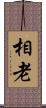相老 Scroll