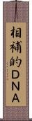 相補的ＤＮＡ Scroll
