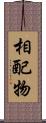 相配物 Scroll