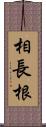 相長根 Scroll