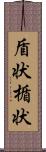 盾状;楯状 Scroll