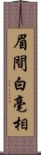 眉間白毫相 Scroll