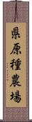 県原種農場 Scroll