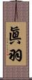 眞羽 Scroll