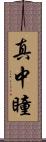 真中瞳 Scroll