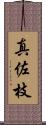 真佐枝 Scroll