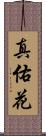 真佑花 Scroll