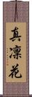 真凜花 Scroll