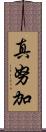 真努加 Scroll