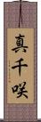 真千咲 Scroll