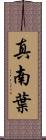 真南葉 Scroll
