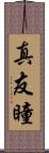 真友瞳 Scroll