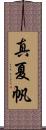 真夏帆 Scroll