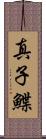 真子鰈 Scroll