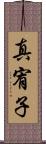 真宥子 Scroll
