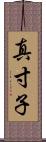 真寸子 Scroll