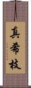真希枝 Scroll