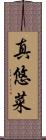 真悠菜 Scroll