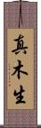 真木生 Scroll