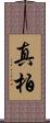 真柏 Scroll