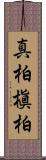 真柏 Scroll