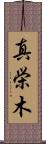 真栄木 Scroll