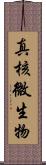 真核微生物 Scroll