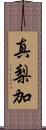 真梨加 Scroll