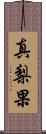 真梨果 Scroll