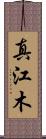 真江木 Scroll
